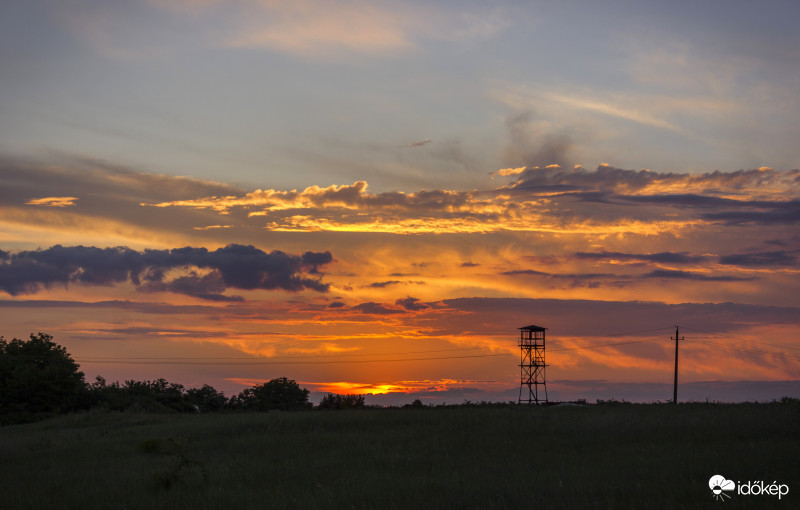 Aligátor a naplementében 