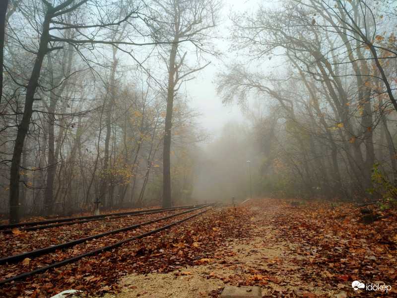 Ködös reggel