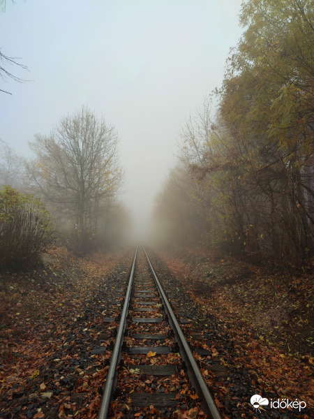 Ködös reggel