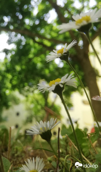 Növekvő sorrendben :) 