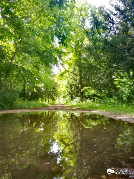 Gödöllői arborétum