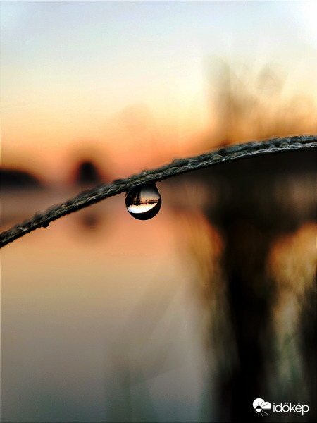 Esőcsepp