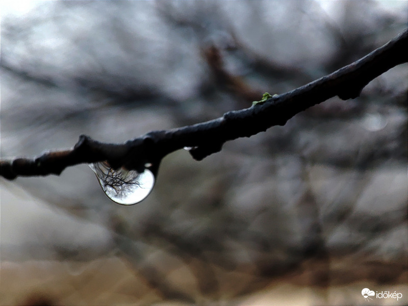 Esőcsepp