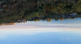 Balatoni pára, felfő