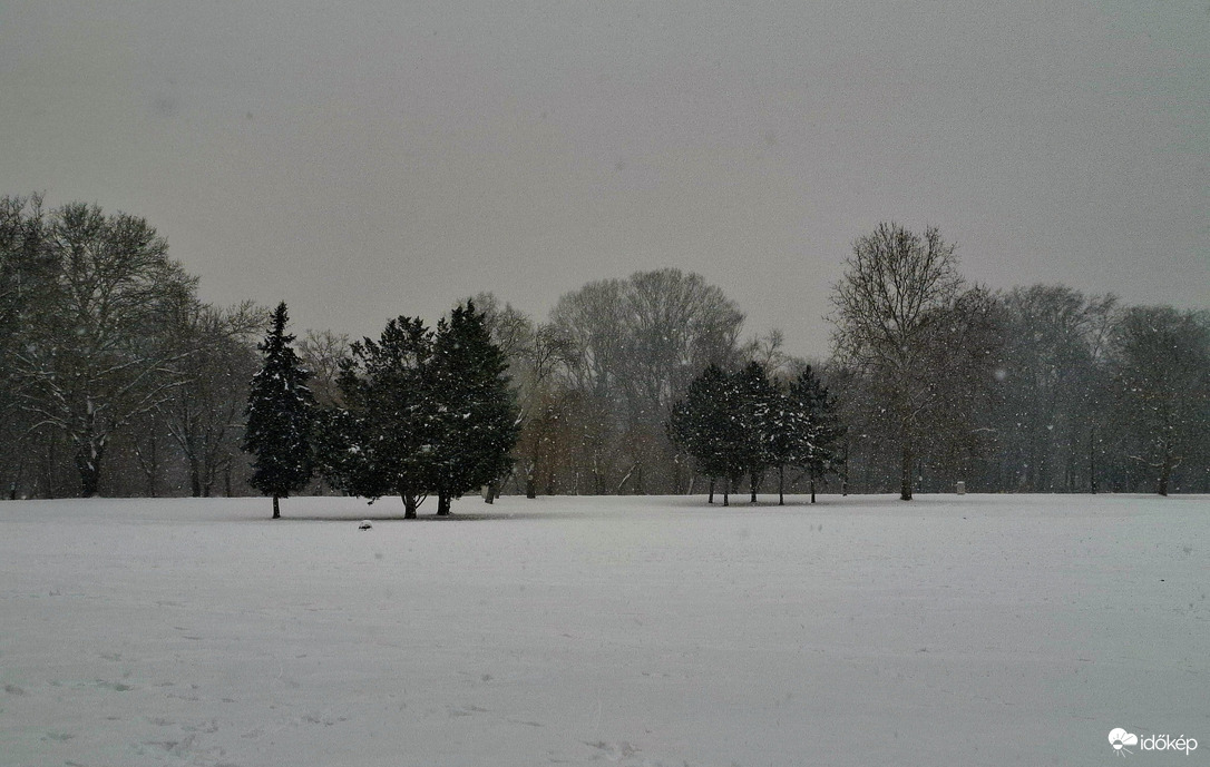 Hajógyári sziget szakad a hó 
