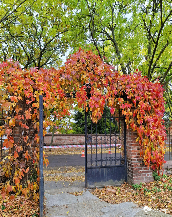 Budai Arborétum Felső Kert bejárat 