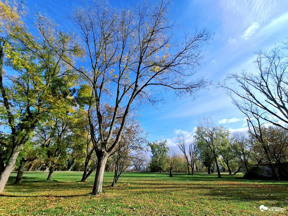 Hajógyári Szigeten