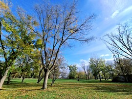 Hajógyári Szigeten