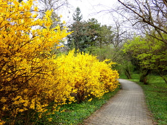 Budai Arborétum Felső kert 