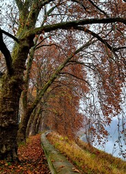 Hamvas Béla sétány Óbuda