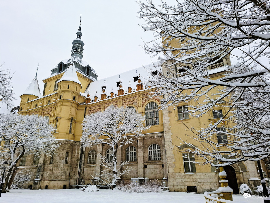 Vajdahunyad vár 