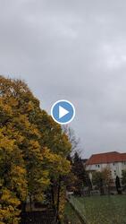 Satu Mare