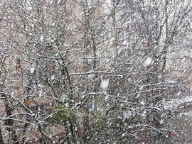 Nagy pelyhekben hull a hó