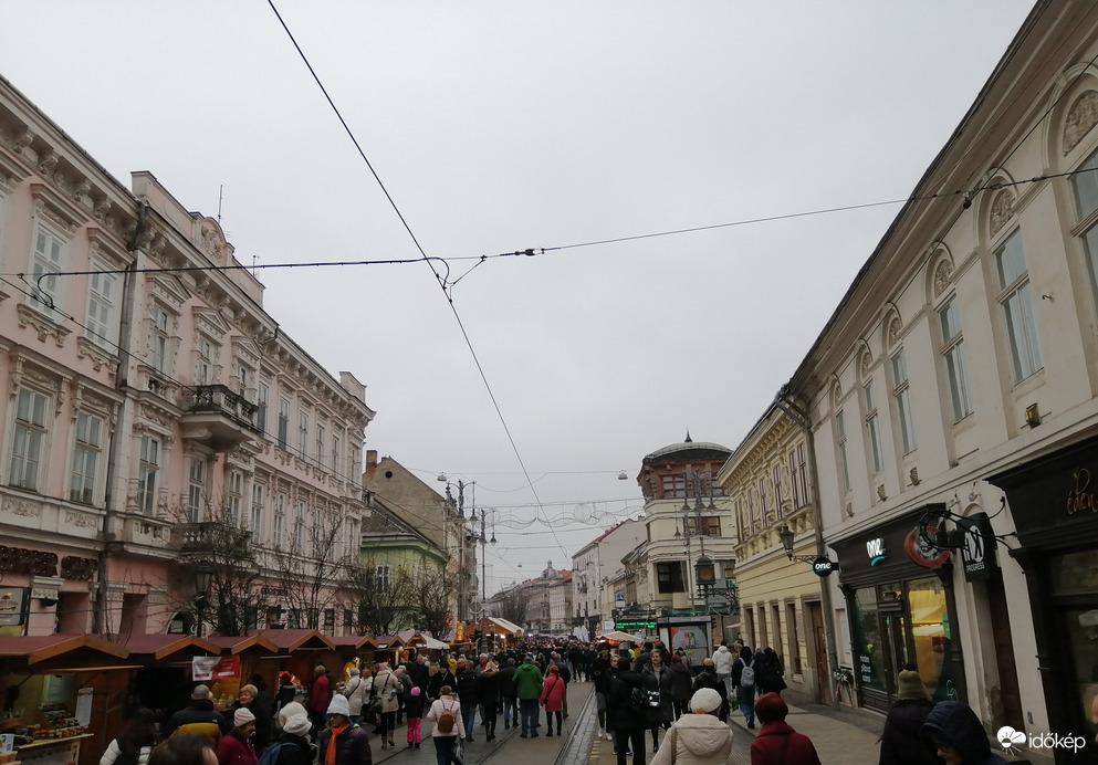 Kocsonya-fesztivál 2026.