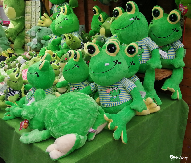 Békák minden mennyiségben.