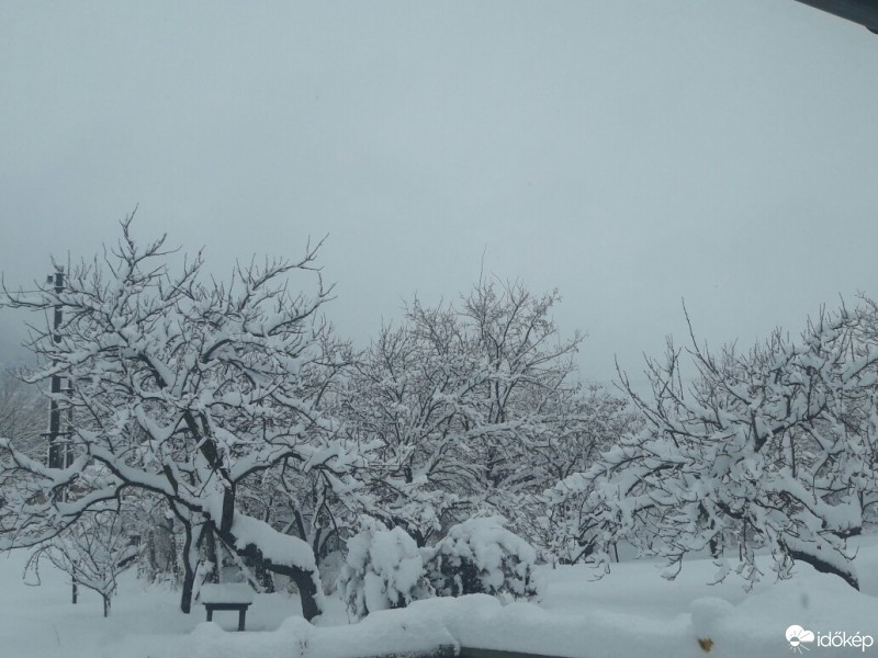 Észlelési fényképek