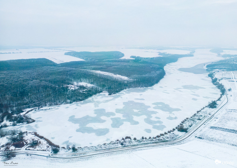Jeges Deseda a magasból
