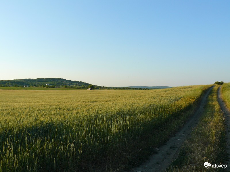 Balaton fekvidék