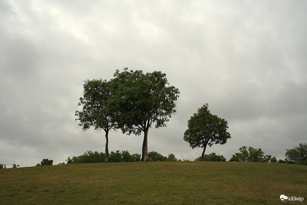 Természet