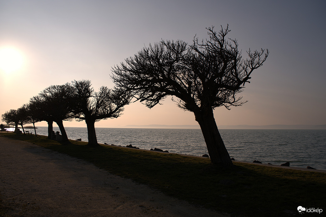 Késő délutáni fények