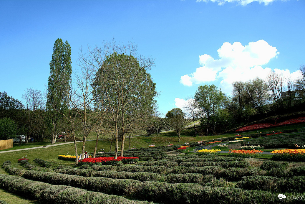 Panoráma