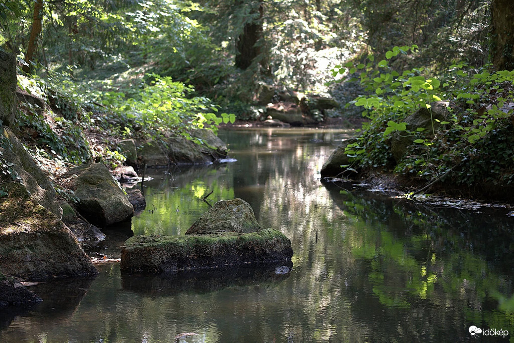 Természet