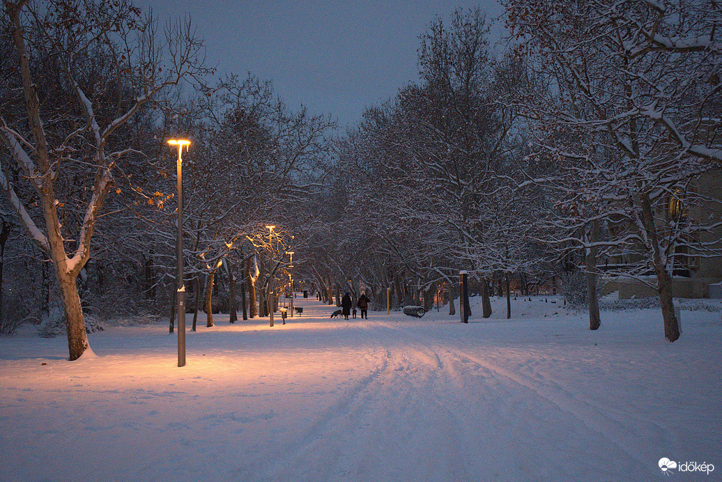 Hajnali kutyasétáltatás