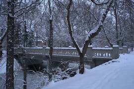 Behavazott a ligetben