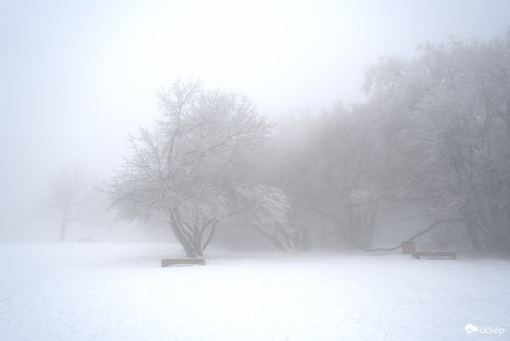 Vágni lehetett a ködöt :)