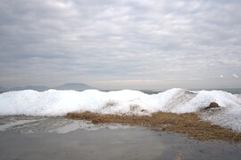 A természet csodája