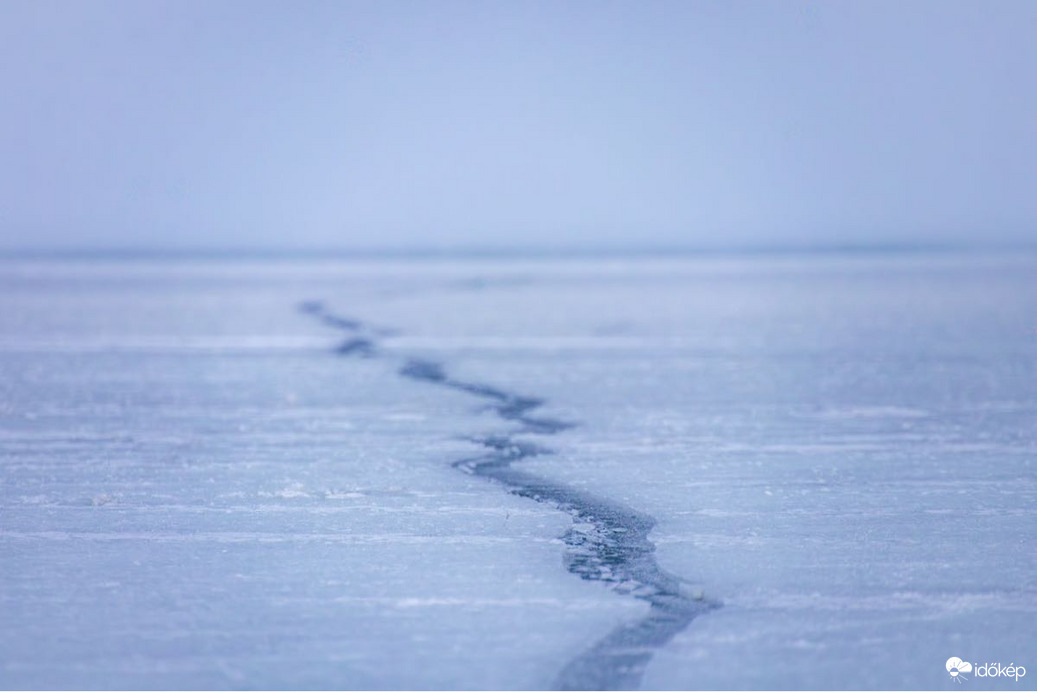 bankutileticia fotója