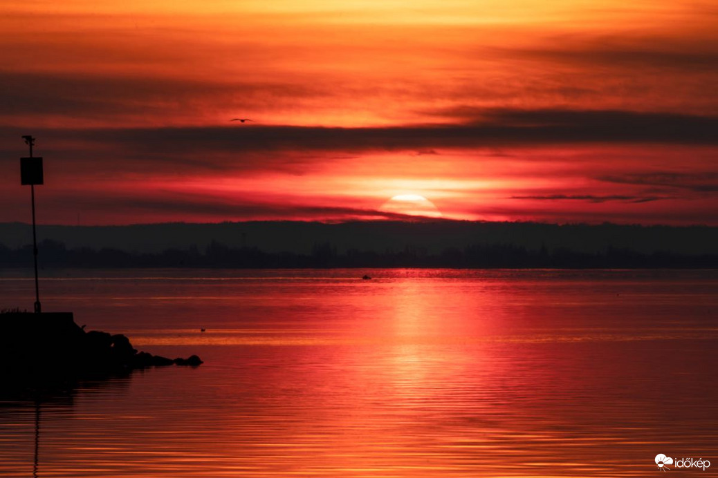 bankutileticia fotója