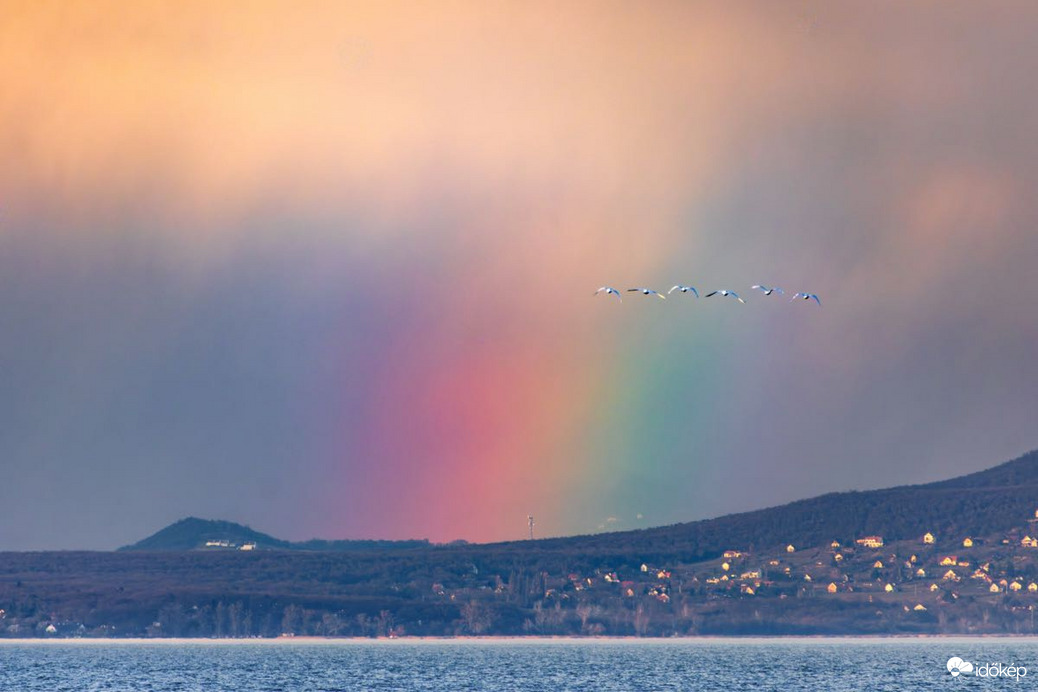 bankutileticia fotója