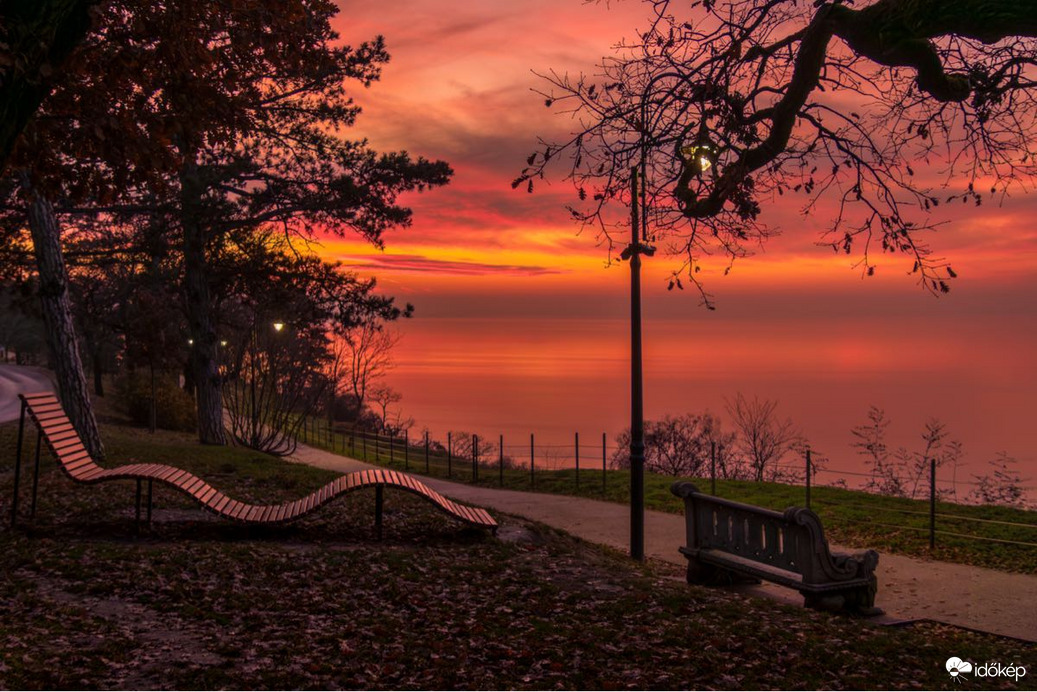 bankutileticia fotója