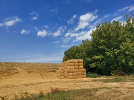 Aratás után