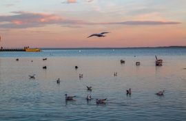 Balaton a naplementében 2016.11.20