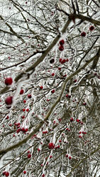 Budapest V.ker - Lipótváros