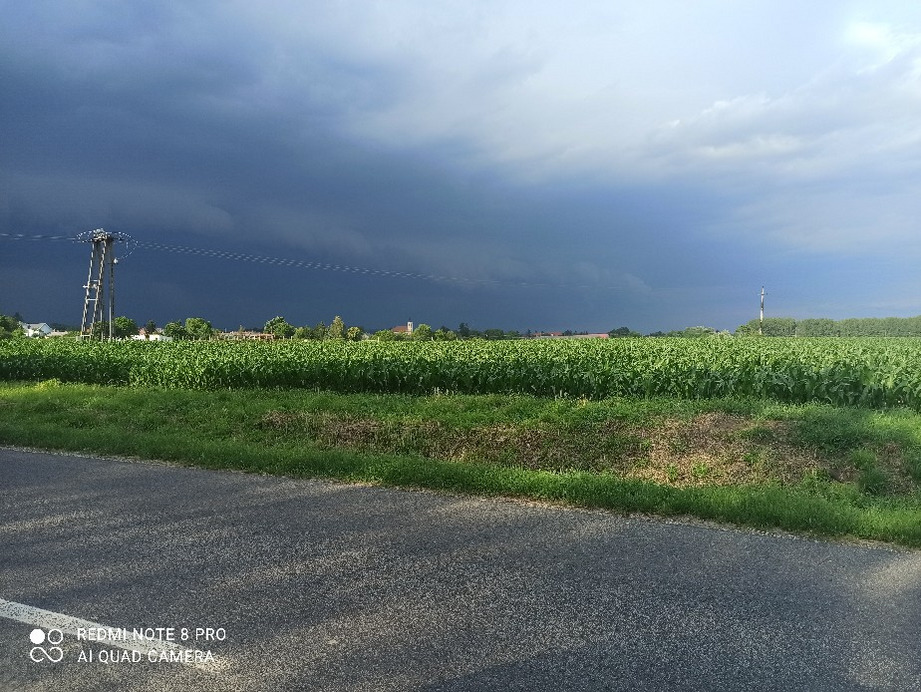 Észlelési fényképek