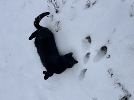 Elkísért fotózni :) 