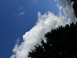 Jönnek-mennek a gomolyok