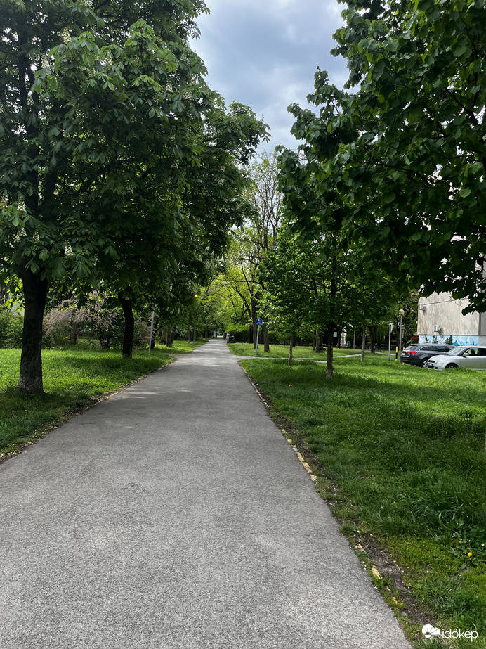 Természet