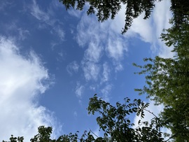 Magyardombegyház