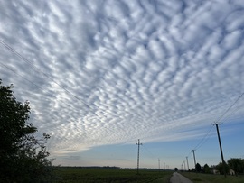 barlabasheni fotója