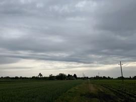 barlabasheni fotója