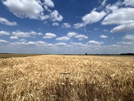 Magyardombegyház