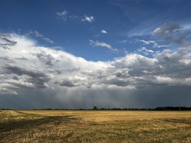 barlabasheni fotója