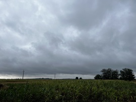 barlabasheni fotója