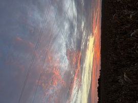 barlabasheni fotója