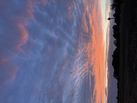 barlabasheni fotója