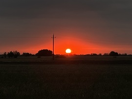 barlabasheni fotója